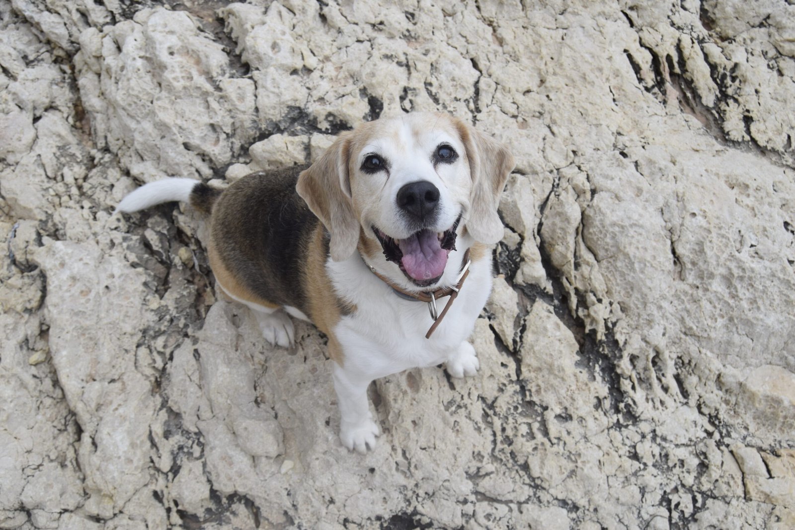 Extensión de seguimiento a 4 sesiones