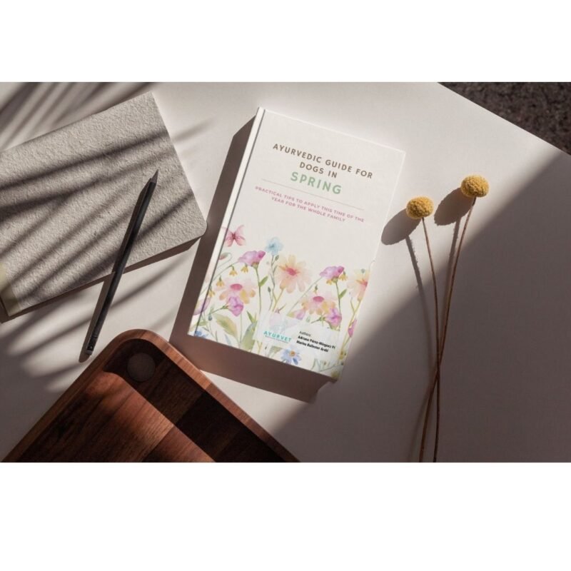 Spring Guide