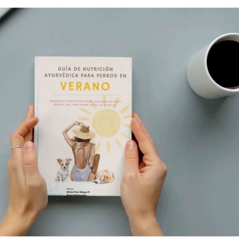 Guía verano - Imagen 8