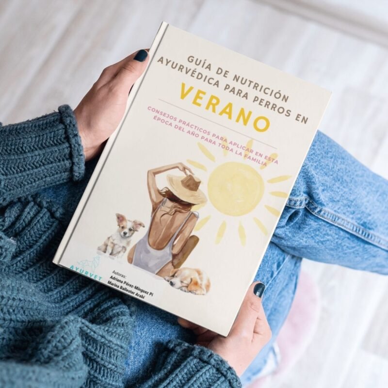 Guía verano - Imagen 6