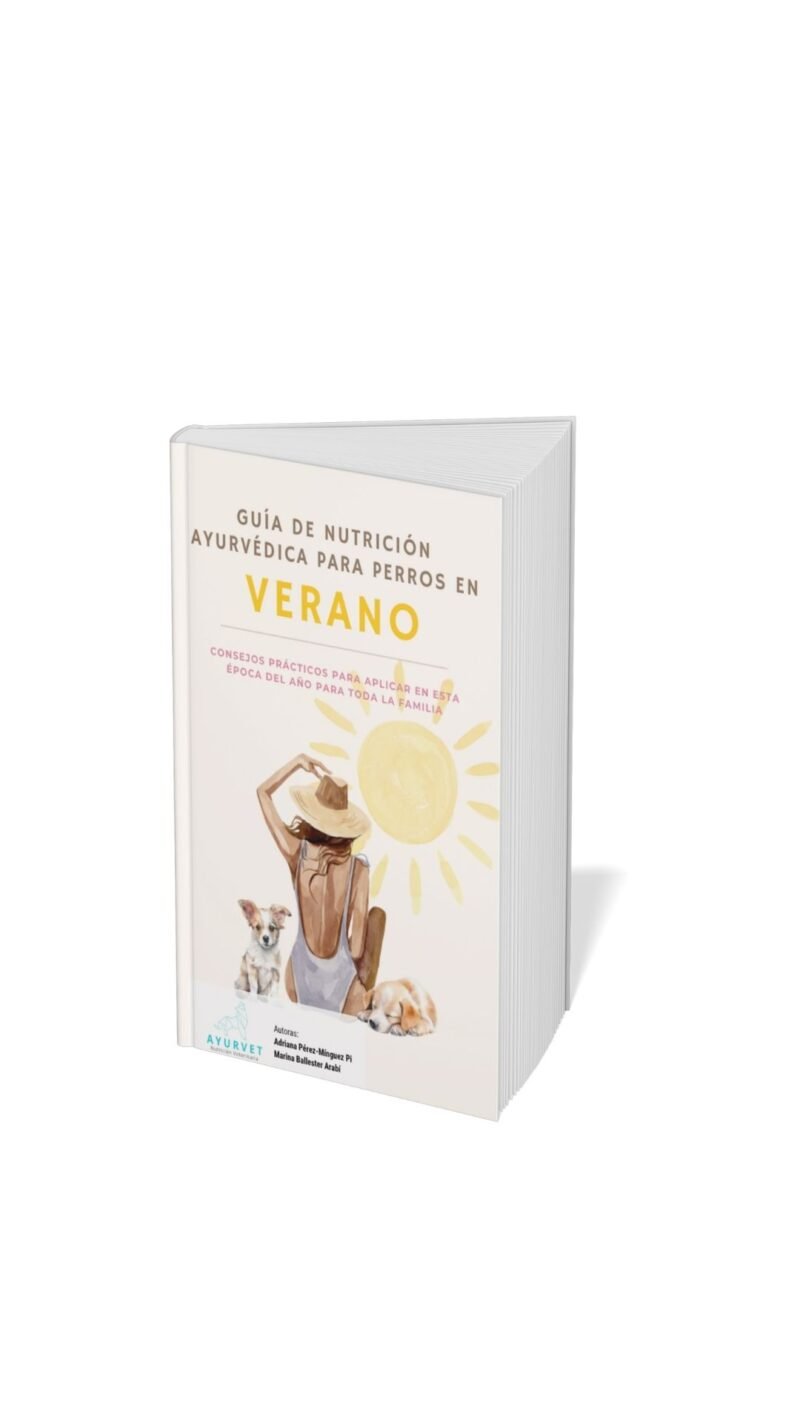 Guía verano - Imagen 5