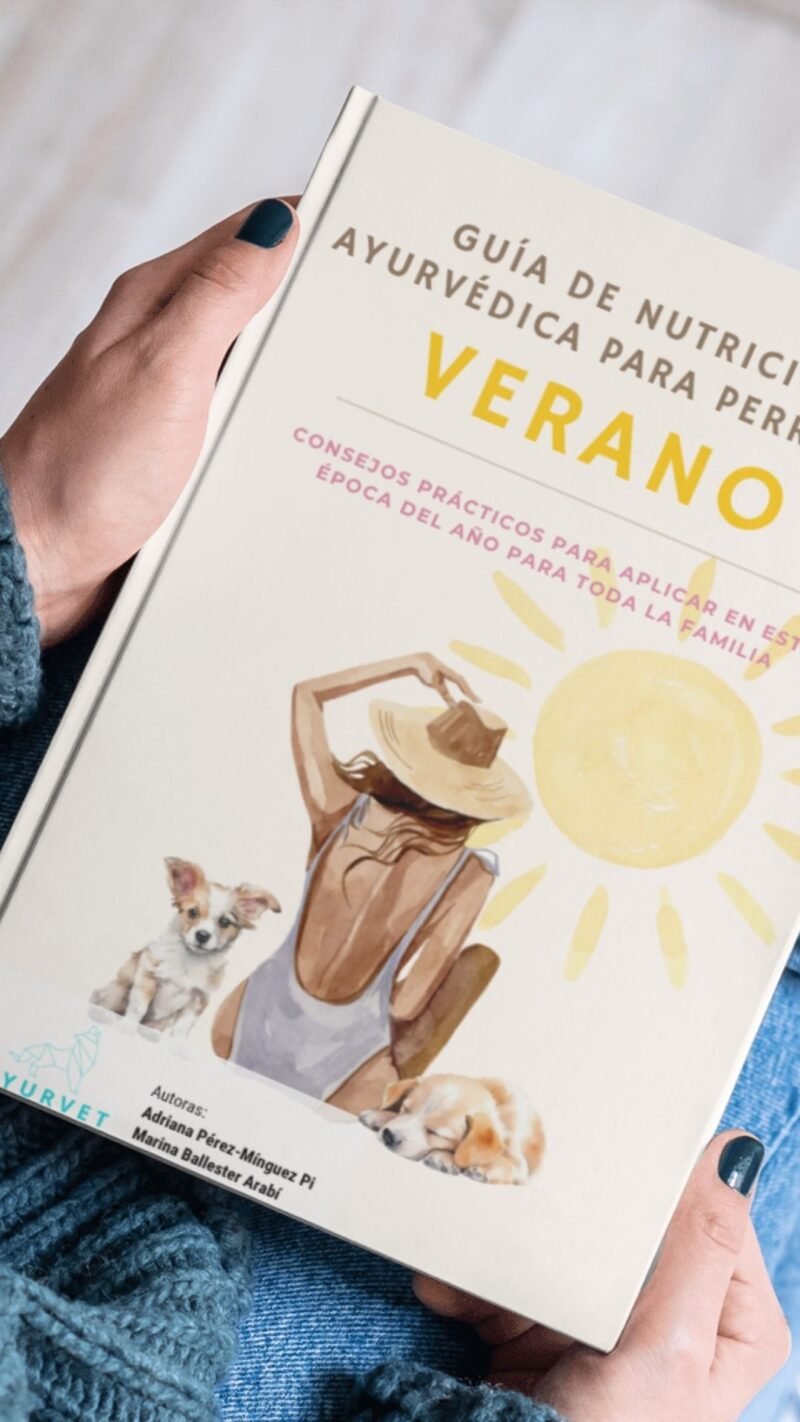 Guía verano - Imagen 4