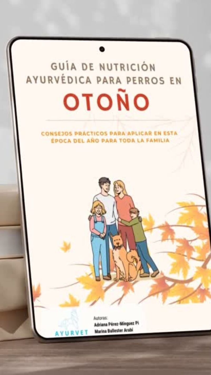 Guía Otoño