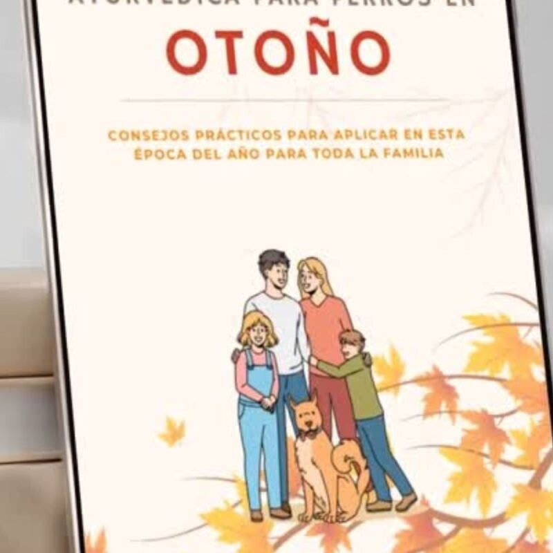 Guía Otoño