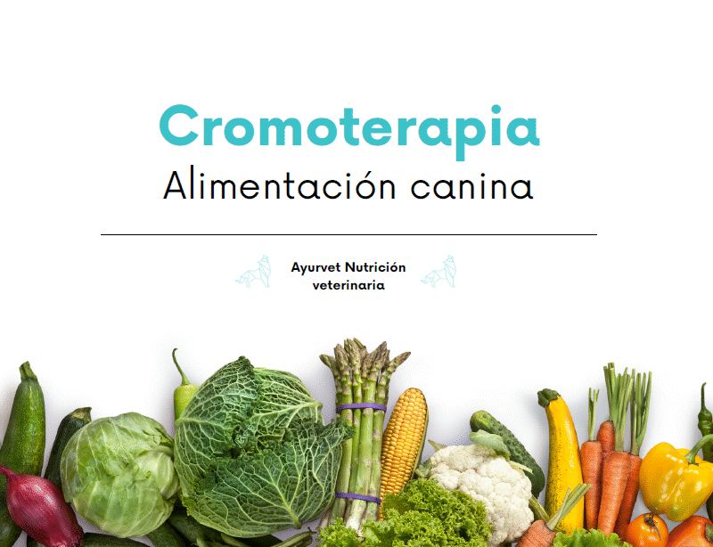 Cromoterapia con Ayurvet